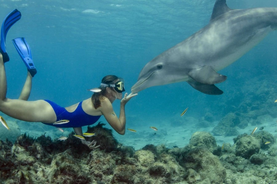 Shaab Samadai (Dolphin House) Snorkeling