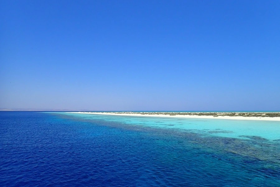 Wadi El Gemal Trip by Speed Boat